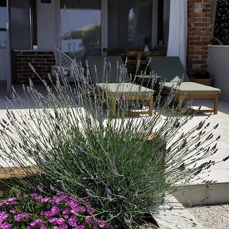 Tinjarosa * Mundanije