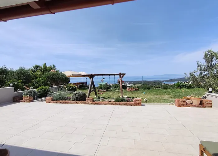 Tinjarosa