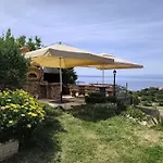 Tinjarosa Mundanije