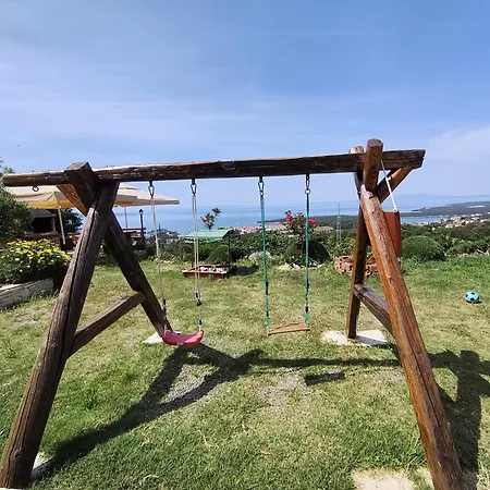 Tinjarosa