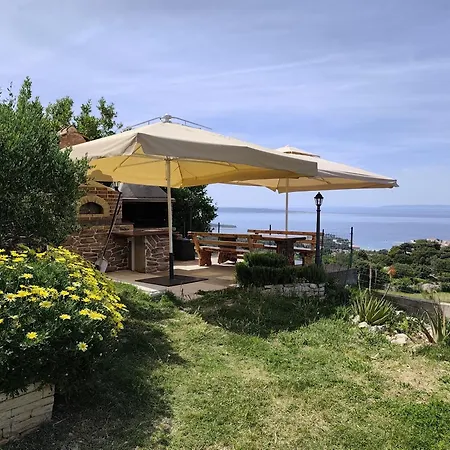 Tinjarosa Mundanije